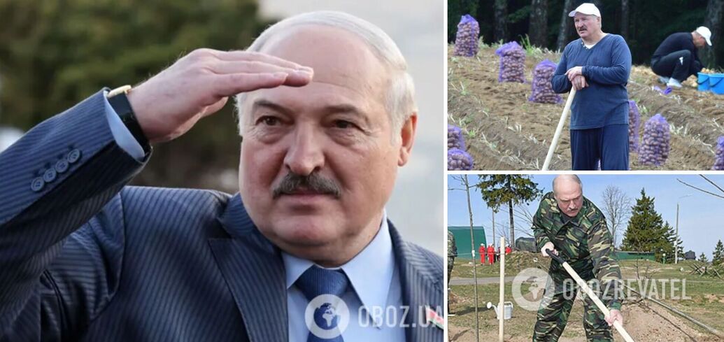 'Znalazłem piwnicę ze słodkimi ziemniakami': sieć eksplodowała memami na temat planów Łukaszenki dotyczących znalezienia metali ziem rzadkich na Białorusi